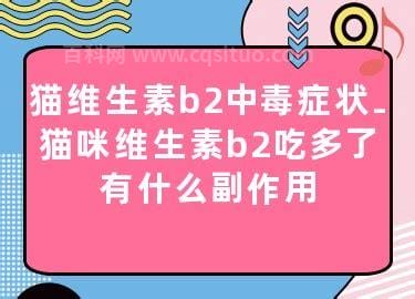 维生素b2吃多了有什么副作用