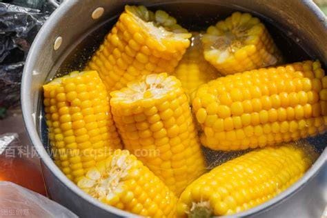 玉米开锅之后煮多长时间能熟