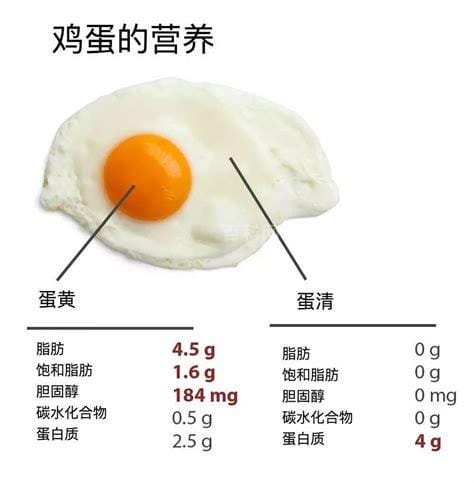 一个鸡蛋含多少蛋白质和脂肪