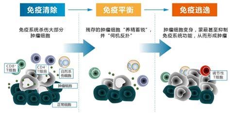 免疫治疗到底是什么？过来了解一下