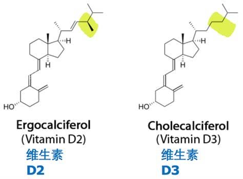 维生素d2和d3有什么区别