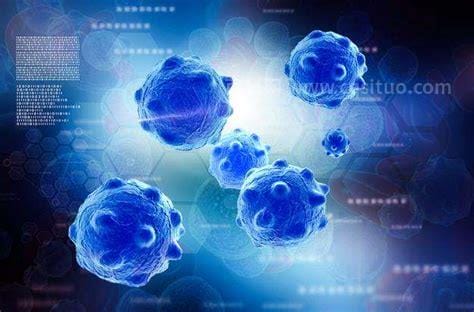 关注干细胞临床转化 中国干细胞第十一届年会在广州开幕