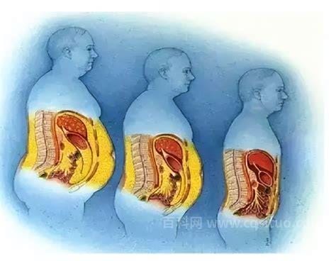 正常的内脏脂肪指数是多少