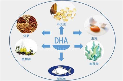 细胞营养素的功效和价格