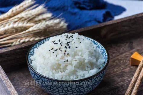 稀饭和米饭哪个容易胖