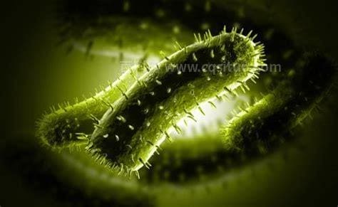 铜绿假单胞菌怎么传染