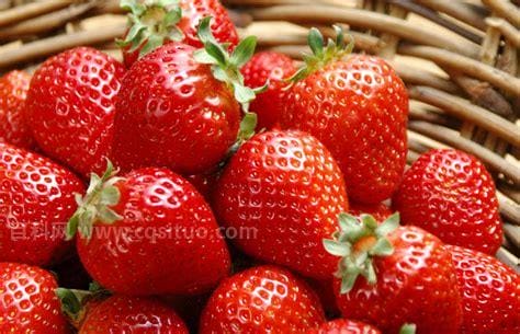 种草莓是什么意思 男生为什么喜欢种草莓
