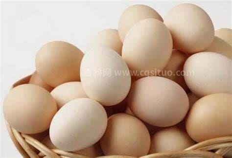 一个鸡蛋的密度大约是多少