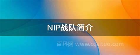 nip战队简介