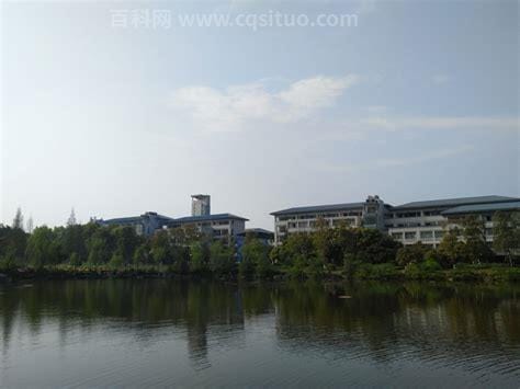 重庆大学的地址在哪里