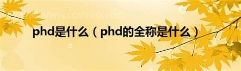 国外phd是什么学位