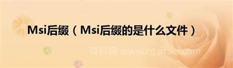 msi后缀的是什么文件