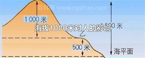 海拔1000米对人的影响