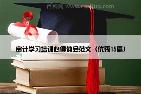 审计学习心得体会15篇