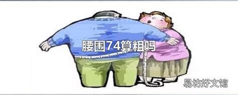 腰围74算粗吗