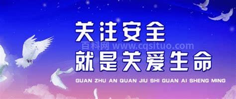 党员学习安全心得体会12篇