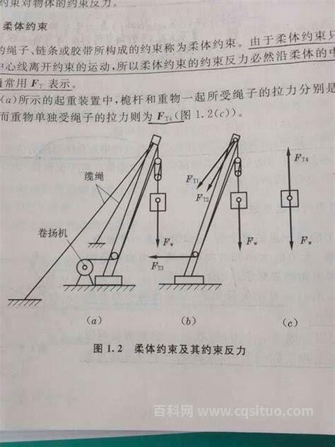 fw代表什么意思