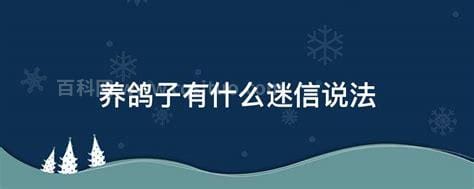 养鸽子有什么迷信说法 鸽子吃什么食物