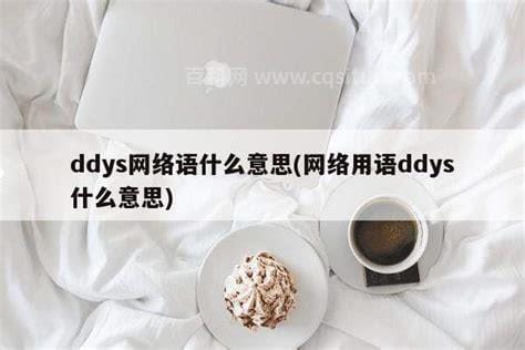 ddys网络语什么意思 ddys网络语的意思