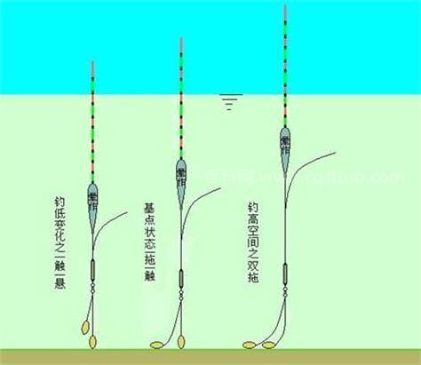 钓鲤鱼调漂的正确方法 教你钓鲤鱼调漂的正确方法