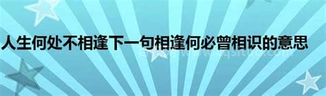 人生何处不相逢这句话是什么意思 人生何处不相逢这句话意思是什么