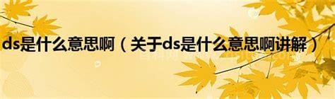 ds是什么意思 ds的解释