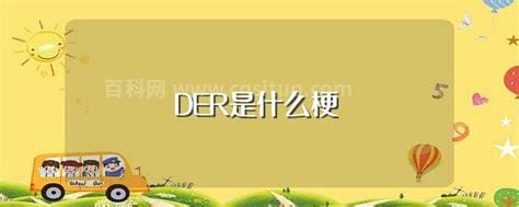 DER是什么梗 DER解释