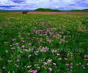 百花丛中过片叶不沾身什么意思 百花丛中过片叶不沾身意思介绍