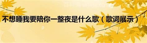 不想睡我要陪你一整夜歌词 不想睡我要陪你一整夜的歌词介绍