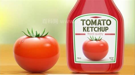 ketchup怎么读 英语ketchup怎么读