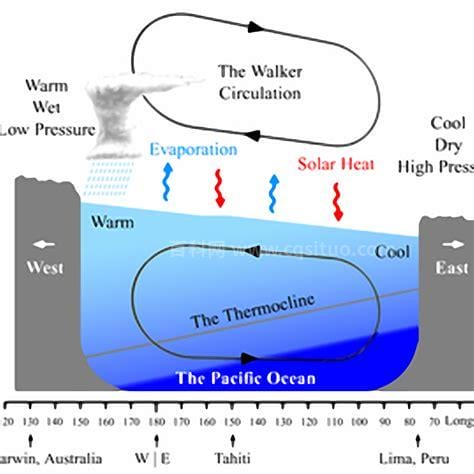 什么是沃克环流 沃克环流是什么