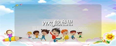 wxg啥意思 wxg解释