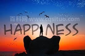 happiness是什么意思 happiness解释