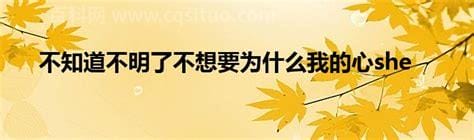 不知道不明了不想要为什么我的心什么歌 不知道不明了的歌词是什么