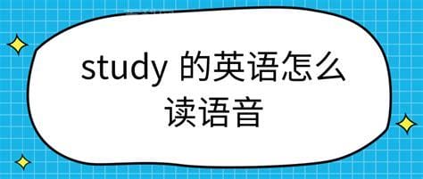 studied怎么读 studied英文解释