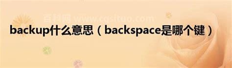 backup什么意思 backup的意思