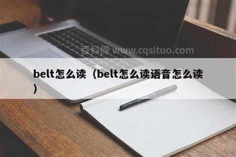 belt怎么读音 英语belt怎么读音