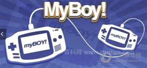 myboy是什么意思中文 myboy的意思