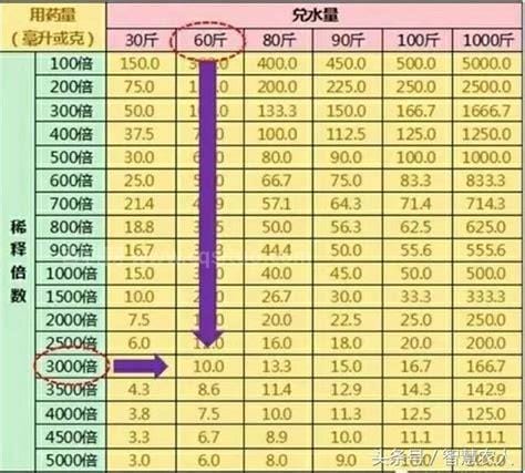 400g等于多少斤 400g是多少斤