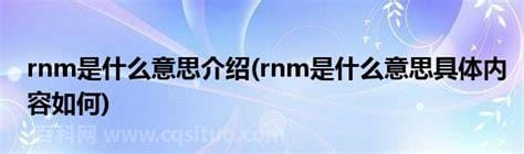 rnm是什么意思 rnm的解释