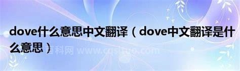 dove什么意思中文翻译 dove中文翻译是什么意思