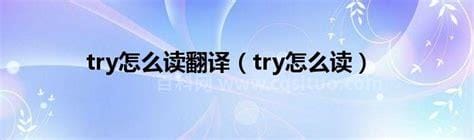 tries怎么读 tries英文解释