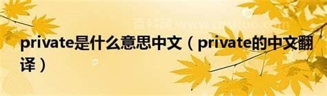 private是什么意思中文 private的中文翻译