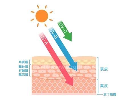 防晒霜的正确使用顺序是什么 防晒霜使用的顺序