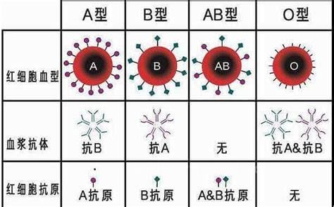 abo信息素是什么意思? abo信息素的解释