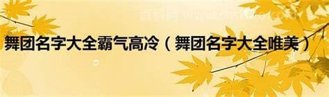 团名字大全霸气的 比较好听的团队名字