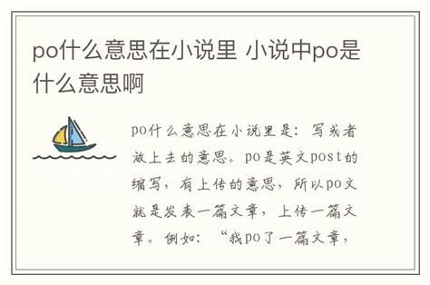 po什么意思在小说里 po的意思