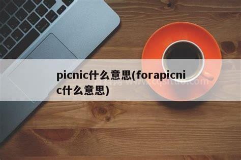 picnic什么意思 picnic解释