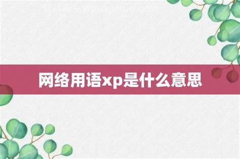 网络用语xp是什么意思 网络用语xp的解释