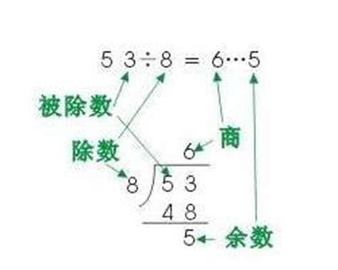 什么是除数和被除数 除数和被除数怎么区分